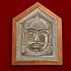 Silver Dev silver back 30 grm Vadil